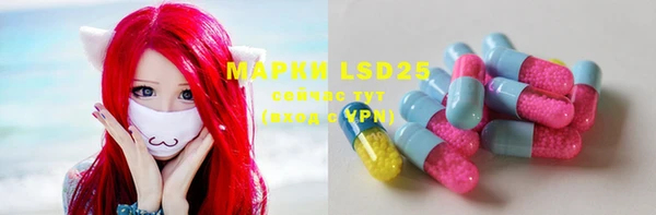 мяу мяу кристалл Арсеньев