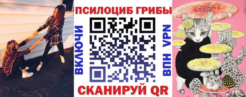 мега зеркало  Сольвычегодск  Галлюциногенные грибы Psilocybe 